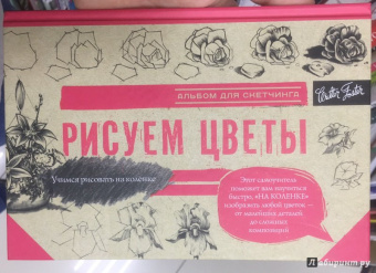 Рисуем цветы. Альбом для скетчинга