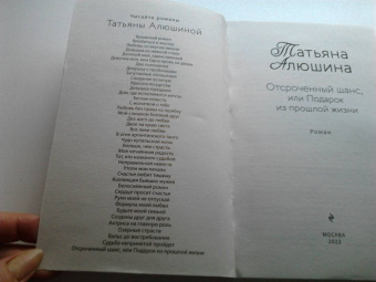Татьяна Алюшина: Отсроченный шанс, или Подарок из прошлой жизни