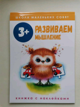 Лариса Маврина: Школа маленьких совят 3+. Развиваем мышление
