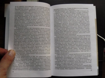 Александр Якимович: Гойя