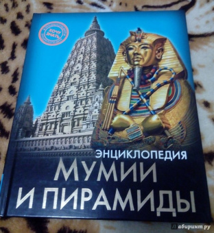 Андрей Розумчук: Мумии и пирамиды