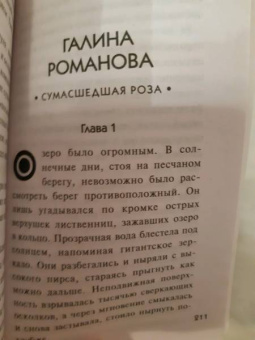 Устинова, Литвинова, Литвинов: Лучший друг детектива