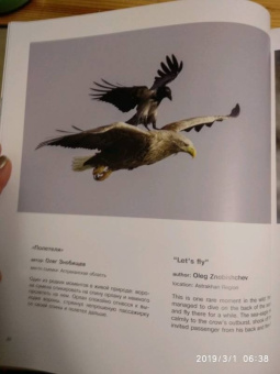 Россия - самая красивая страна. Фотоконкурс 2018