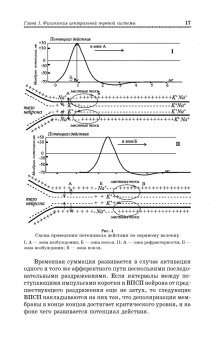 Медведев, Завалишина, Кутафина: Физиология мышечной и нервной систем. Учебное пособие