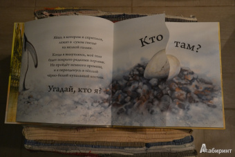 Кто спрятался?