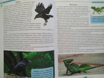 Людмила Соколова: Животный мир от А до Я