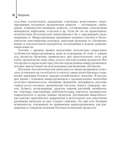 Царев, Балмасова, Ипполитов: Основы микробиологии и инфекционная безопасность. Лабораторный практикум. Учебное пособие