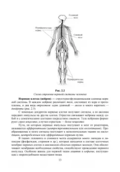 Позняковский, Дроздова, Влощинский: Физиология питания. Учебник