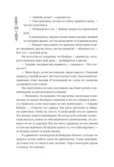Леа Рейн: Гора духов. Книга 2. Грандмастер Горы духов