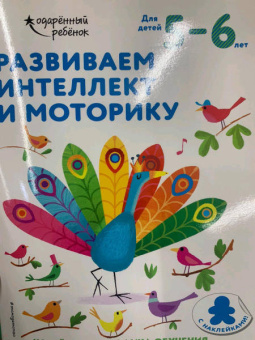 Развиваем интеллект и моторику. Для детей 5-6 лет