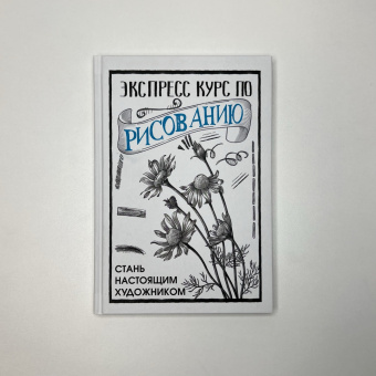 Мистер Грей: Экспресс курс по рисованию. Стань настоящим художником