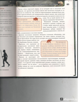 Ярослава Соколова: Хочу знать. Медведи