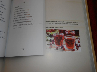 Пушкин, Рожников: Евгений Онегин. Подробный иллюстрированный комментарий