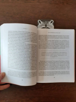 Дэвид Эпштейн: Универсалы. Как талантливые дилетанты становятся победителями по жизни