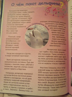 Чернецкий, Краснова: Где живут дельфины? И чего мы не знаем о самых общительных животных