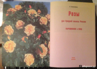 Наталья Анзигитова: Розы для Средней полосы России. Выращивание и уход