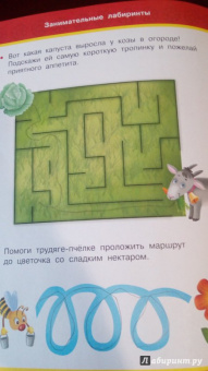 Валентина Дмитриева: Занимательные лабиринты