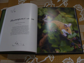 Клэр Гарланд: Лесные жители, связанные на спицах. 12 реалистичных игрушек