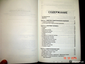 Синди Дэйл: Тонкое тело:  Полная энциклопедия биоэнергетической медицины