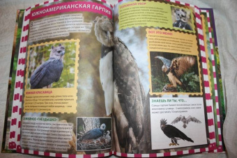 Джунгли. Животные и птицы