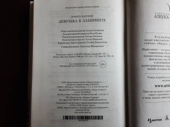 Донато Карризи: Девушка в лабиринте