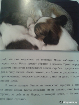 Дженнифер Холанд: Невероятная правда о дружбе:  47 историй в фотографиях об удивительной дружбе животных