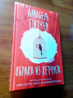 Аннабель Питчер: Облака из кетчупа