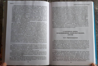 Владимир Земцов: Великая армия Наполеона в Бородинском сражении