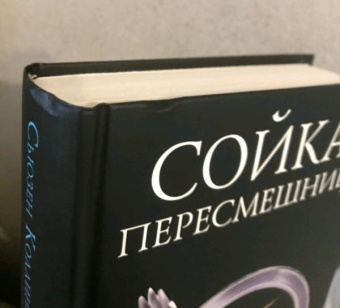 Сьюзен Коллинз: Сойка-пересмешница