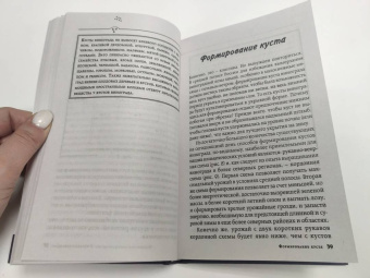 Виктор Жвакин: Виноград, голубика, малина, смородина и другие любимые ягоды. Особенности выращивания своими руками