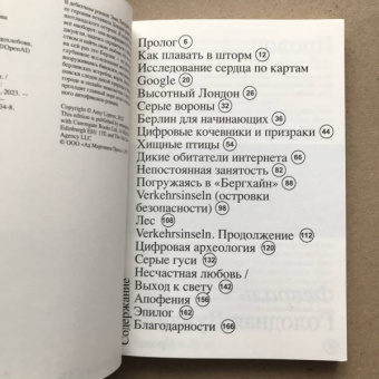 Эми Липтрот: Момент