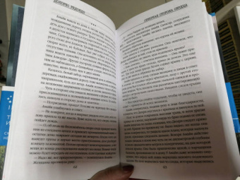 Долорес Редондо: Северная сторона сердца