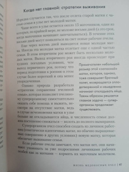 Фридрих Хайнбух: Пчелы. Что человек и пчела значат друг для друга