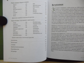 Пейдж Вандербек: Green Witchcraft. Как открыть для себя магию цветов, трав, деревьев, кристаллов и многое другое