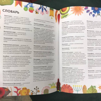 Майкл Холланд: Солнечный свет на завтрак