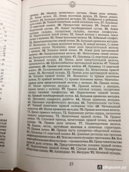Александр Огулов: Висцеральный Массаж внутренних органов. Основы