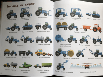 Барановская, Доманская: 5000 картинок, которые можно рассматривать целый год