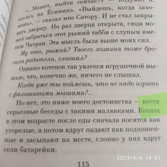 Хиро Арикава: Хроники странствующего кота