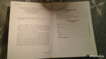 Дневник кающегося. Перечень смертных грехов и страстей