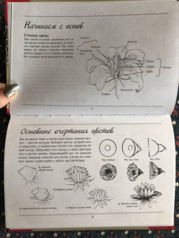 Рисуем цветы. Альбом для скетчинга