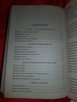 Анатолий Бернацкий: 100 великих тайн золота
