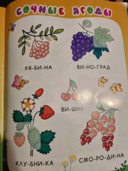 Сад и огород. Книжка с наклейками