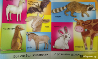 Bethan James: Бог создал меня