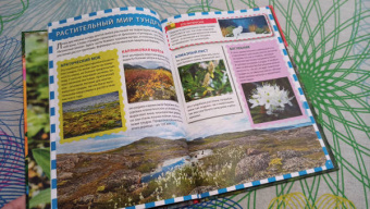 Растительный мир России. Популярная детская энциклопедия