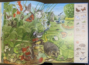 Большая книга времен года