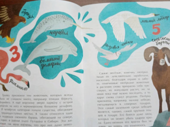 Илья Кочергин: Что такое Красная книга
