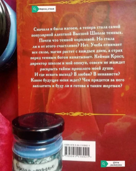 Ольга Пашнина: Школа темных. Ангел шторма