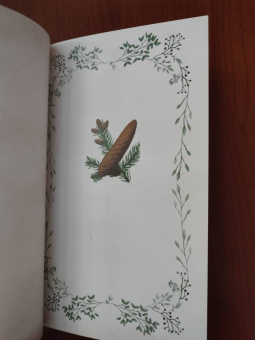 Джилл Дэвис: Тайный язык деревьев