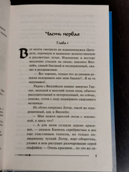Гай Орловский: Цитадель в огне