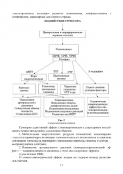 Рубцова, Рубцов: Теоретико-методические основы адаптивного физического воспитания. Учебное пособие